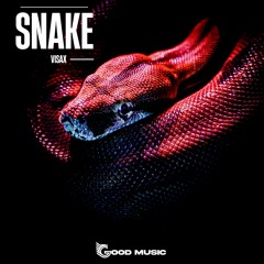 IT2017Visax : Visax - Snake (Original Mix)