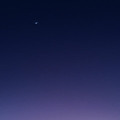 The Stolen Dream (Celestial)