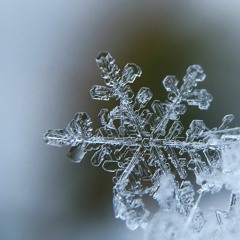 Dendrite Crystal