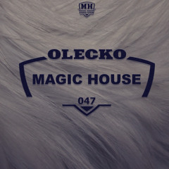 Magic House 047