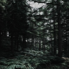 Forest [Neos ネオス - Forest Drumkit // Now Available]