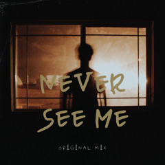 Feles - never see me (Original MIx)