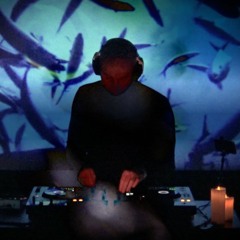 "Ginger&Honey" Live Set for Modular.md Shezătoarea Session