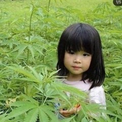 rasta (prod.moondawg)