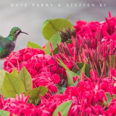 Dave Parry & Steffen Ki - Vuela Vuela ~ FREE DOWNLOAD ~