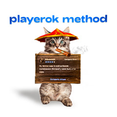 playerok method (exclusive)