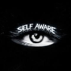 Temper City - Self Aware (N4C HARD TECHNO REMIX)