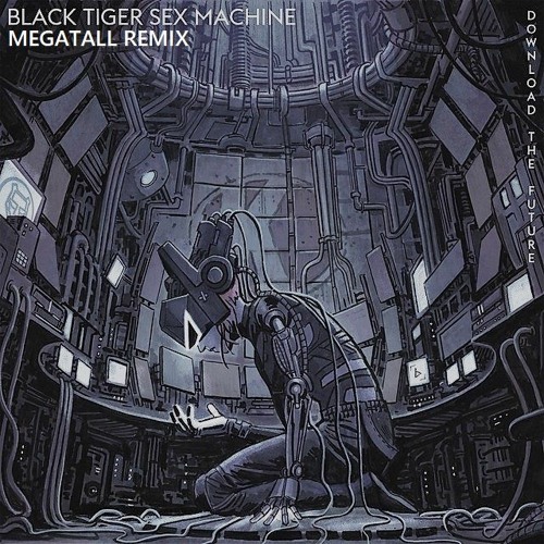 Stream Black Tiger Sex Machine X Blanke Hacker Megatall Remix By 