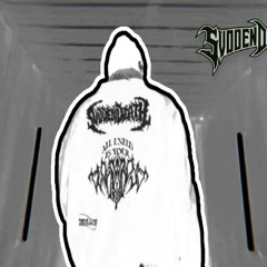 SVDDEN DEATH -  Comprehension Barrier [DEMO V]