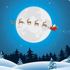 swing Merry Christmas (9)