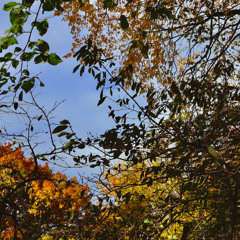 Mike Tyson Blow To The Heart