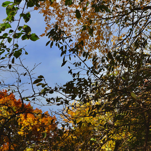 Mike Tyson Blow To The Heart