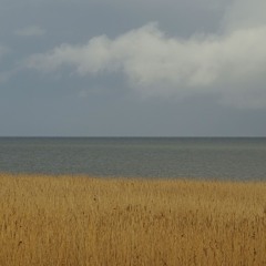 Down To The Sea