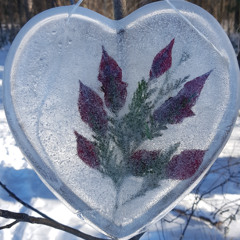 Routes & Branches & Beyond show # 392 2025 12 18