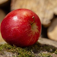 alphabet-song-1-426662