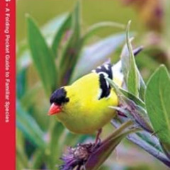 download EBOOK 📚 New Jersey Birds: A Folding Pocket Guide to Familiar Species (Wildl