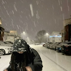 Snow fall feat.𝕹 (BigDog)