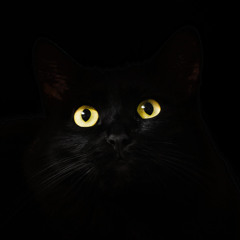 13 Angels Standing Guard Beat