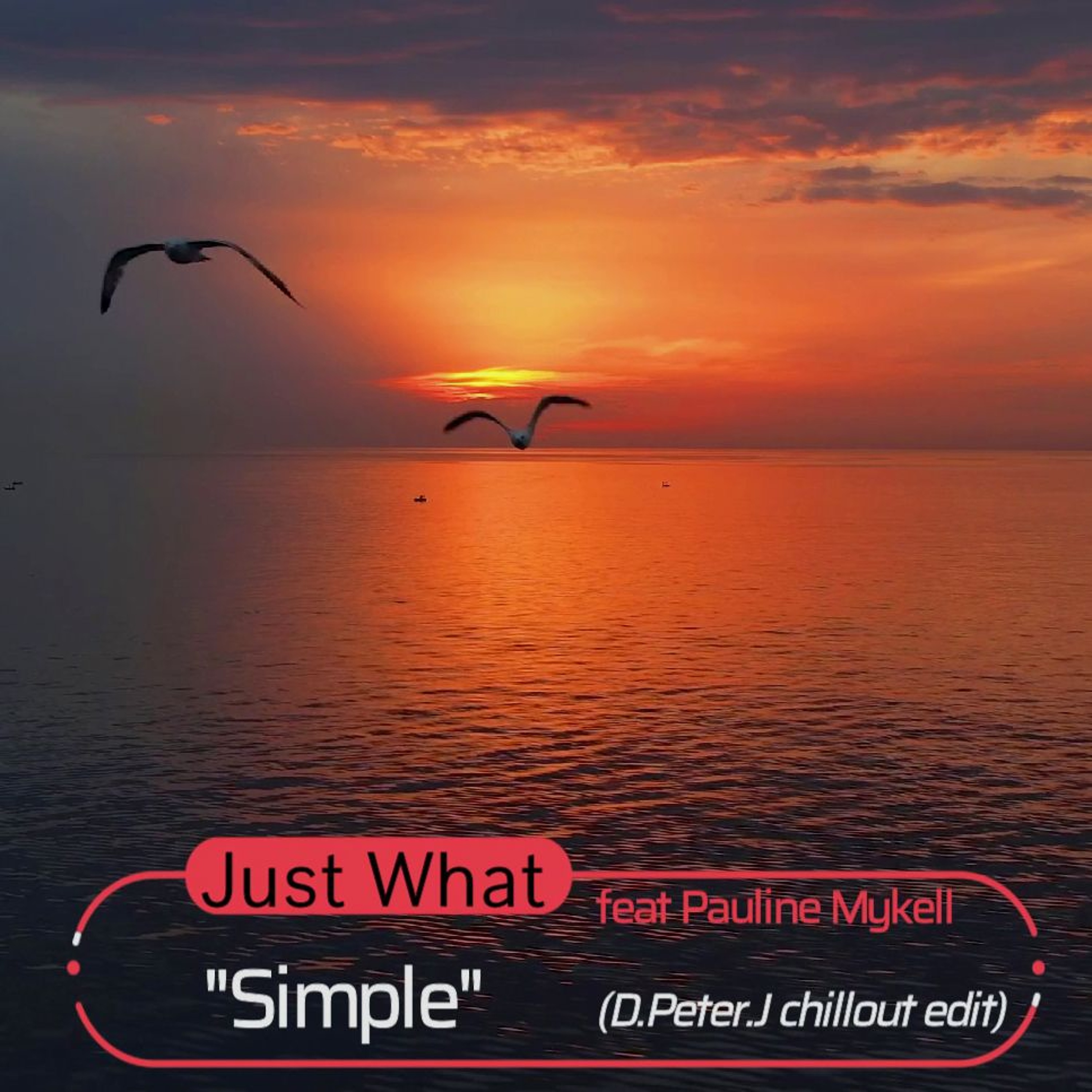 Track cover