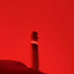 Bodies Forest Vocal Cover