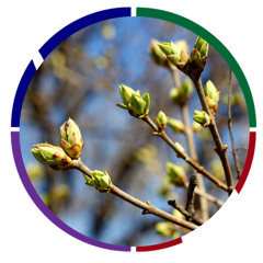 “In a Little While,” The Proper Time and The Good of the Whole | 9.14.2025