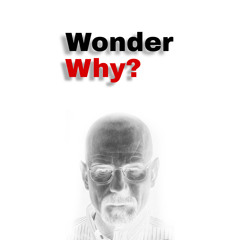 Wonder why