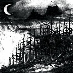 LiL PEEP —   swamp theme (without feature)