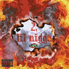 2. lil nigga