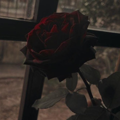Rose In Harlem (2020 snatched)