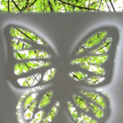 捉蝴蝶的人 w/sorrowcape prod.jxssx