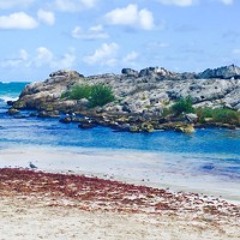 Release All That Weighs You Down Guided Meditation - Day 10 of 40 Days