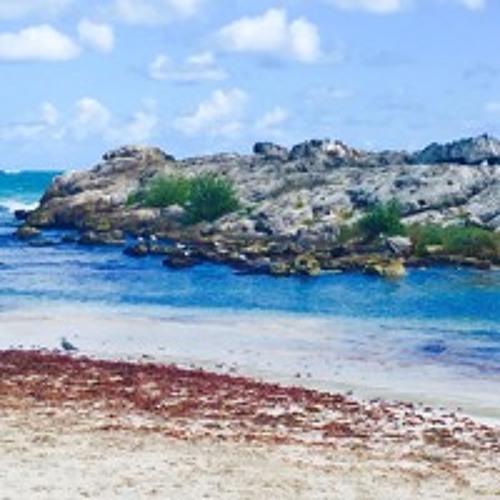 Release All That Weighs You Down Guided Meditation - Day 10 of 40 Days