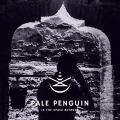 Pale Penguin Is The Space Between