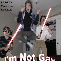 I'm Not Gay
