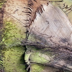 Meeting at the temple