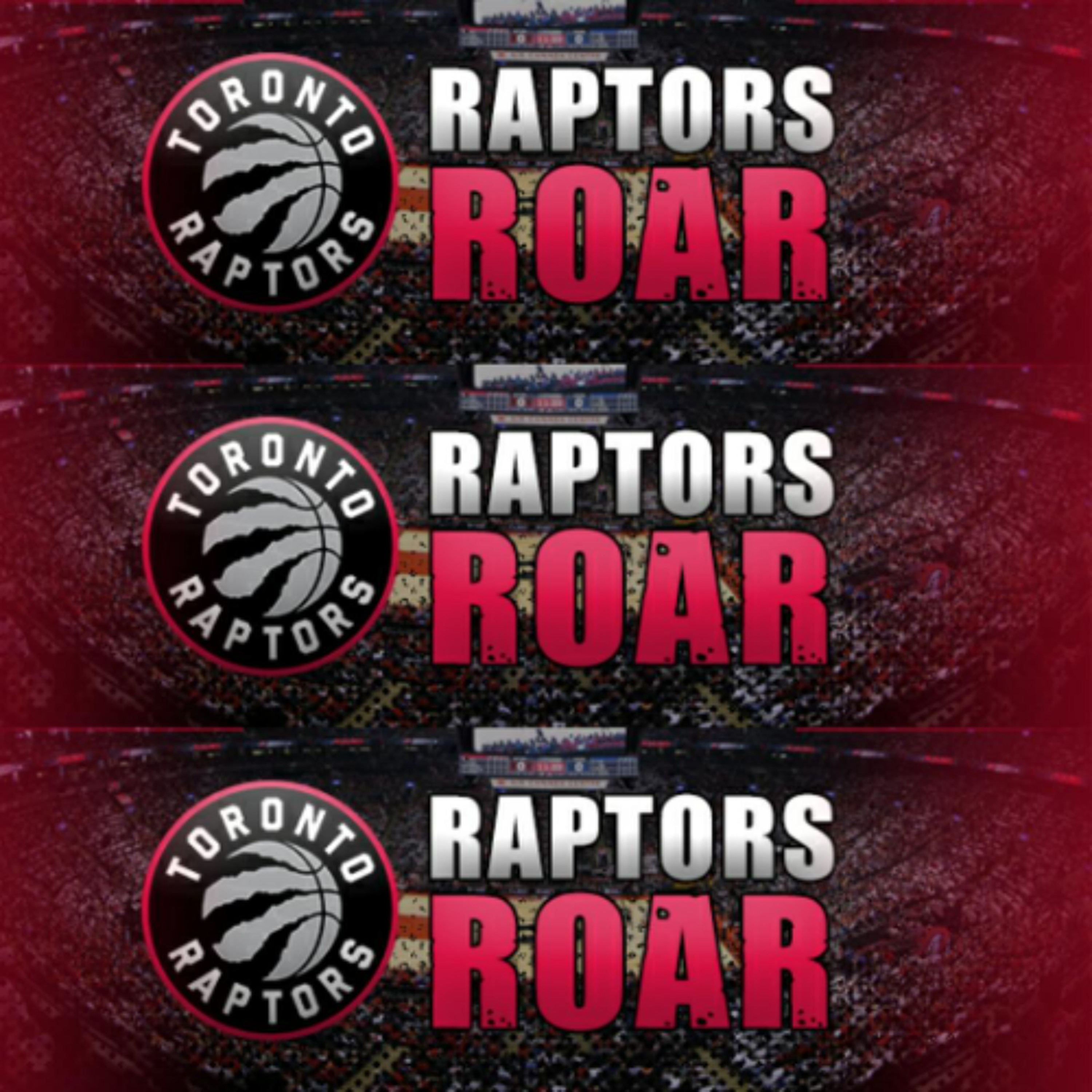 Monday, November 17: Raptors Roar