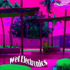 A Word From Our Sponsors ~ by Wet Electronics