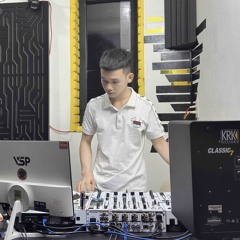 NST VIETMIX 2K25 - LỖ TAI CÂY ĐÁNH ĐÌ CHÂY