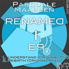 Pasquale Maassen - Understand
