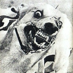 Nasenbluten - Meet The Press