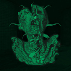 Macrophagous Gilled Larvae - Macrowaves