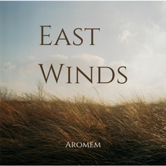 East Winds - Acoustic Improv Session