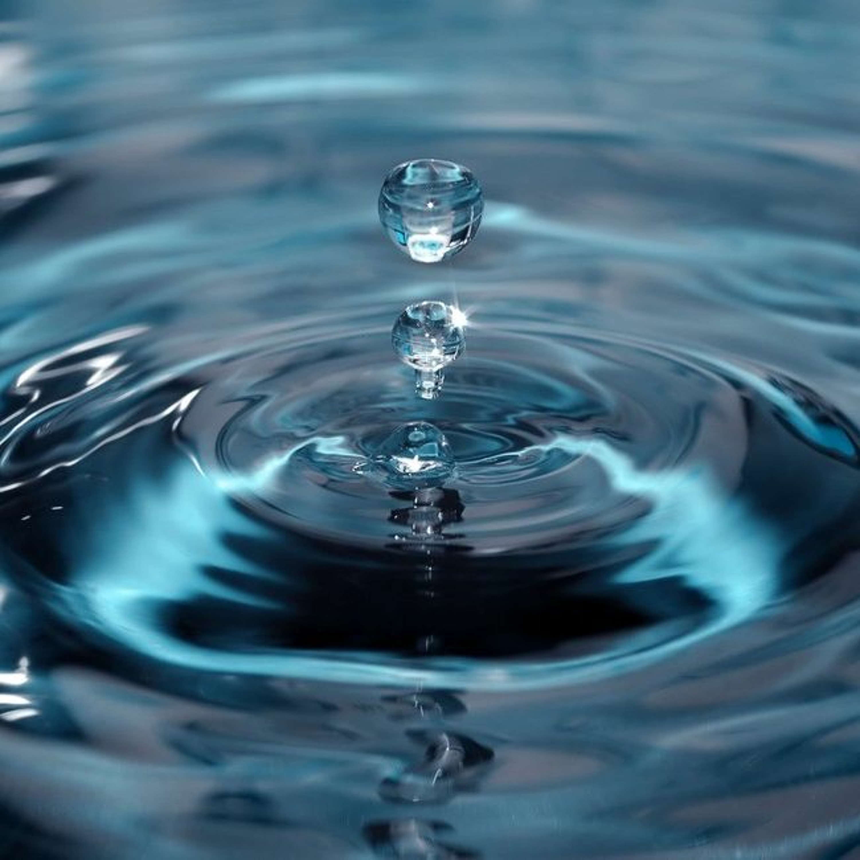 On Water: A Natural Perspective! episode artwork