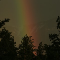 hand dipped in the redeeming stream