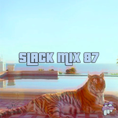 SLACK MIX 87