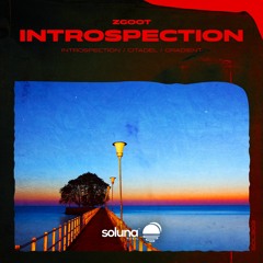 ZGOOT - Introspection [Soluna Music]