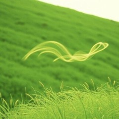 El Viento del Viernes !