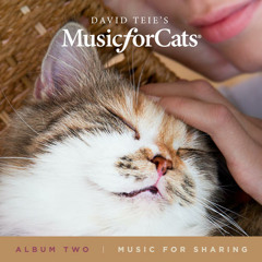 05 - David Teie - Penelope's Nocturne