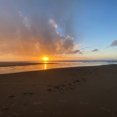 Tilixam Talk: Tracie Meyer