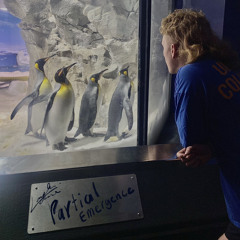 Runnin At Speed Runnin At Pace